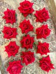 Rose Flowers