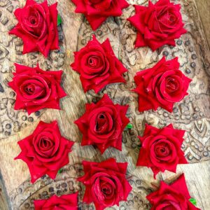 Rose Flowers