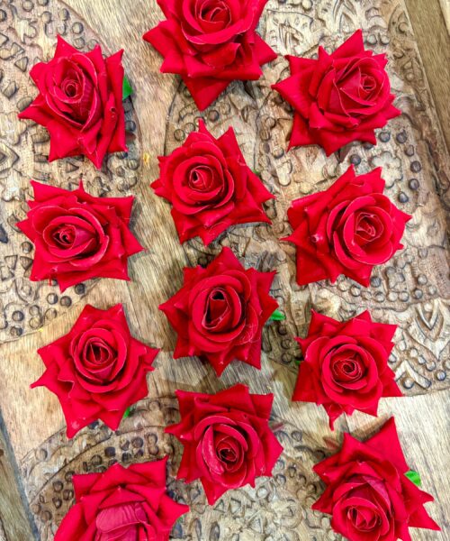 Rose Flowers