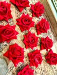 Rose Flowers