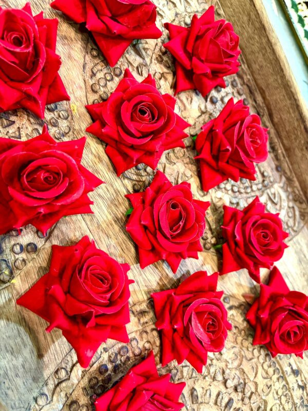Rose Flowers