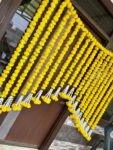 Yellow Strings Backdrop with Danglers