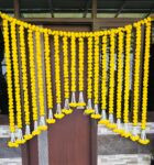 Yellow Strings Backdrop with Danglers