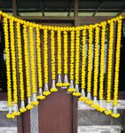 Yellow Strings Backdrop with Danglers