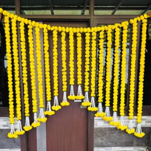 Yellow Strings Backdrop with Danglers