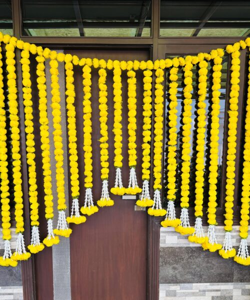 Yellow Strings Backdrop with Danglers