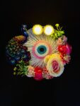 Peacock Radiance Platter Set of 2