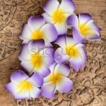 Floating Plumeria Flowers 7 pcs Pack