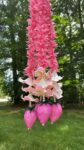Pink Lotus Hangings 6