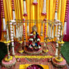 Backdrop Canopy Stand